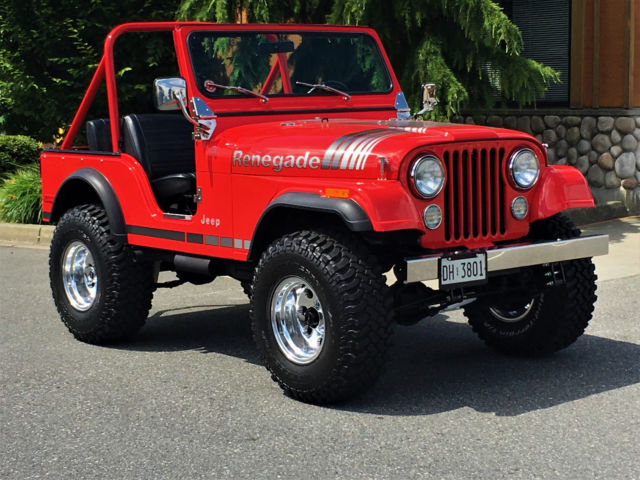 1979 Jeep CJ CJ-5 - photo 11