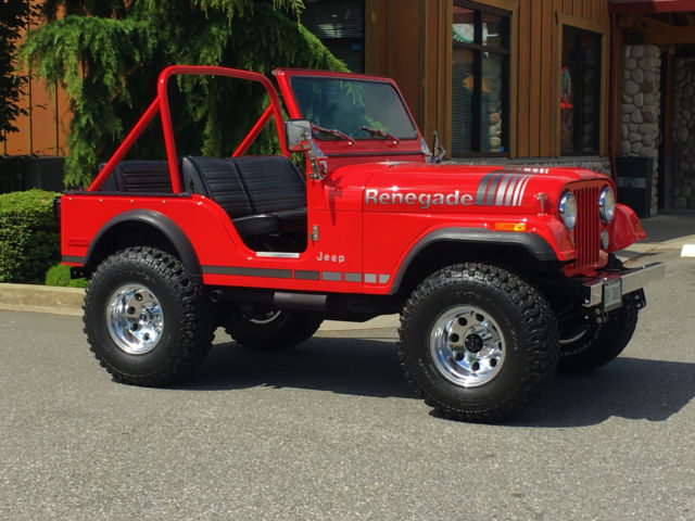 1979 Jeep CJ CJ-5 - photo 2