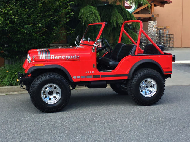 1979 Jeep CJ CJ-5 - photo 4