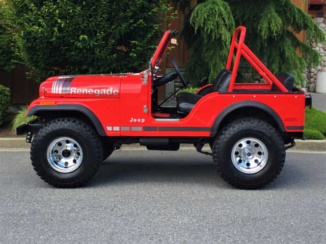 1979 Jeep CJ CJ-5 - photo 5