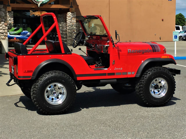 1979 Jeep CJ CJ-5 - photo 9