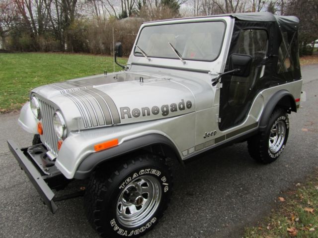 1979 Jeep CJ-5 SILVER ANNIVERSAY - photo 2