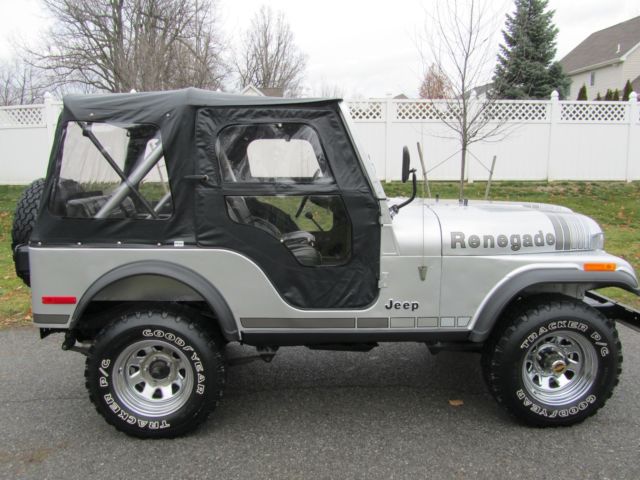 1979 Jeep CJ-5 SILVER ANNIVERSAY - photo 3