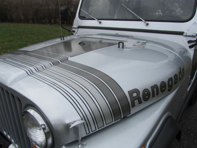 1979 Jeep CJ-5 SILVER ANNIVERSAY - photo 7