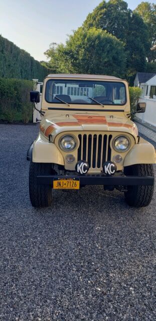 1979 Jeep CJ-5 Renegade - photo 6