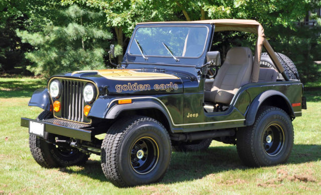 1979 Jeep CJ-5 with 304 V-8 1979 Jeep CJ