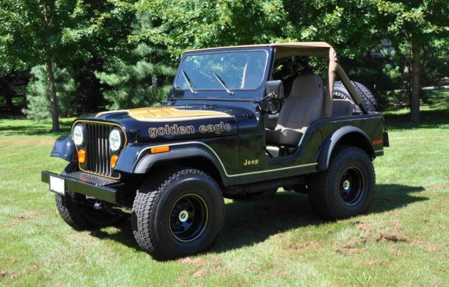 1979 Jeep CJ - photo 10
