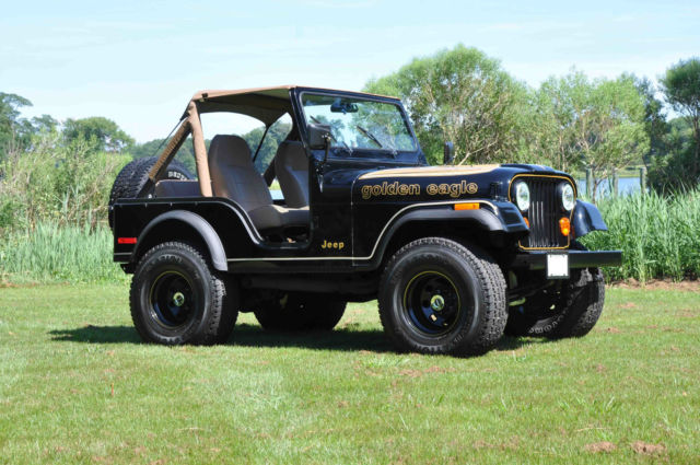 1979 Jeep CJ - photo 8
