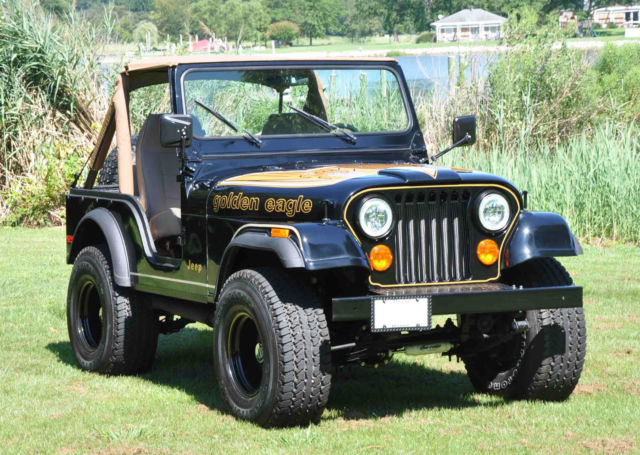 1979 Jeep CJ - photo 9