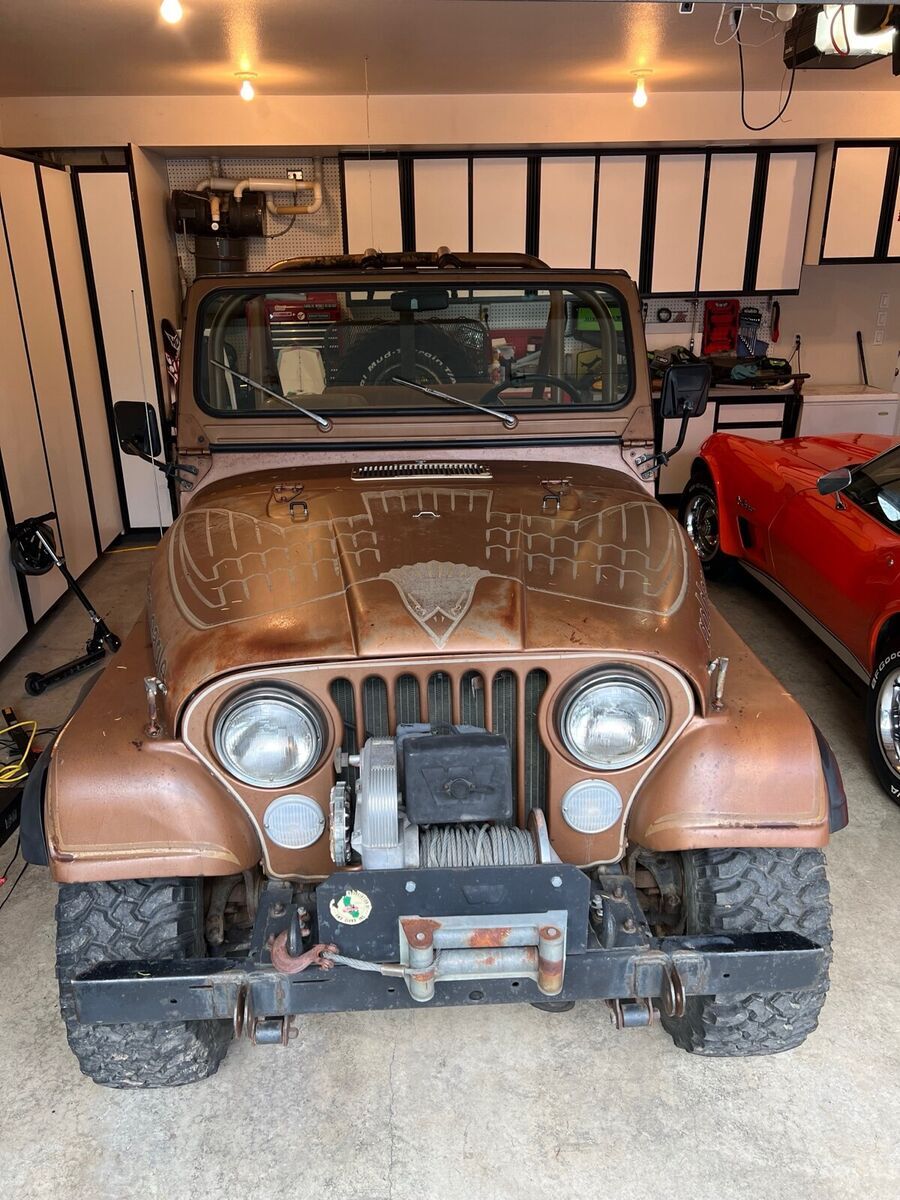 1979 Jeep CJ-7 Golden Eagle - photo 13