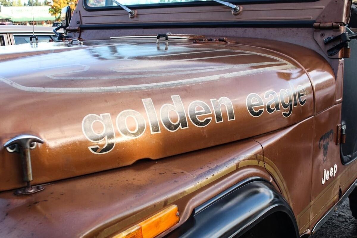 1979 Jeep CJ-7 Golden Eagle - photo 2