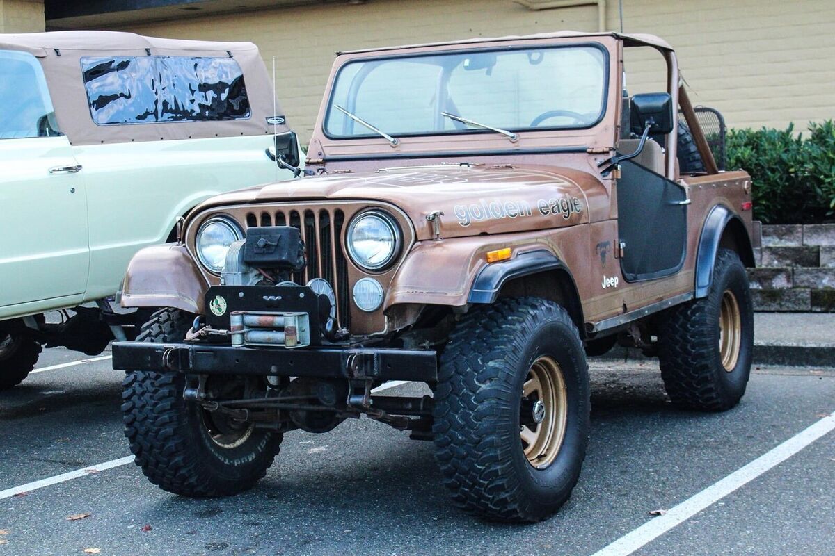 1979 Jeep CJ-7 Golden Eagle - photo 5