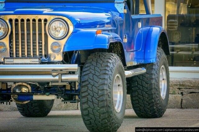 1979 Jeep CJ Custom - photo 10