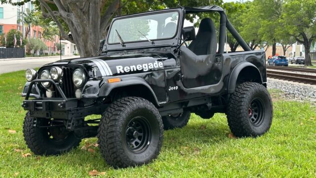 1979 Jeep CJ-7 Renegade - photo 6