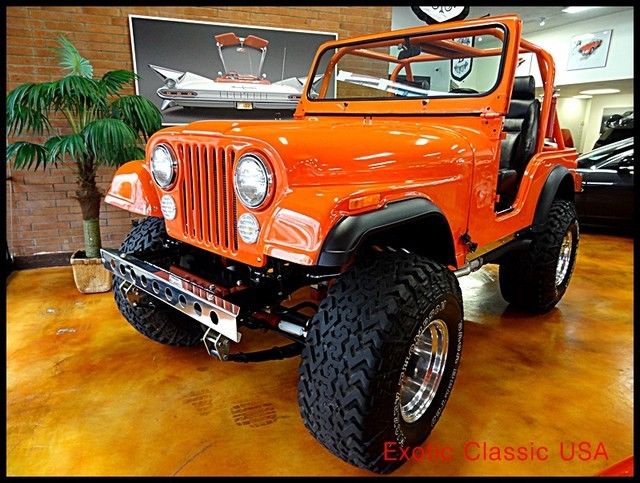 1979 Jeep CJ Custom - photo 3