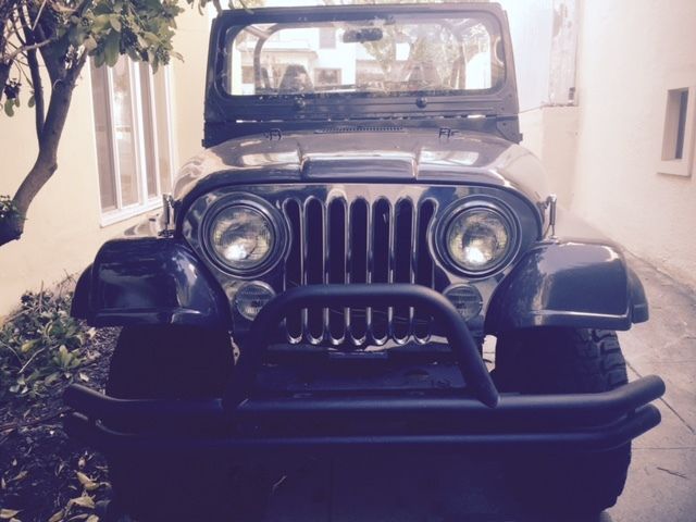 1979 Jeep CJ5 Base Sport Utility 2-Door 4.2L 1979 Jeep Conv
