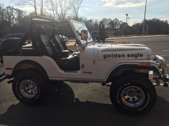 1979 Jeep CJ Golden Eagle - photo 3