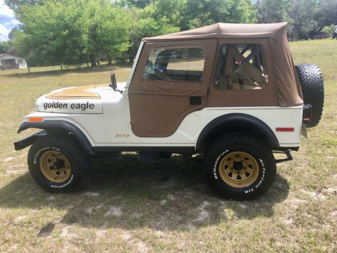 1979 Jeep CJ Golden Eagle - photo 2