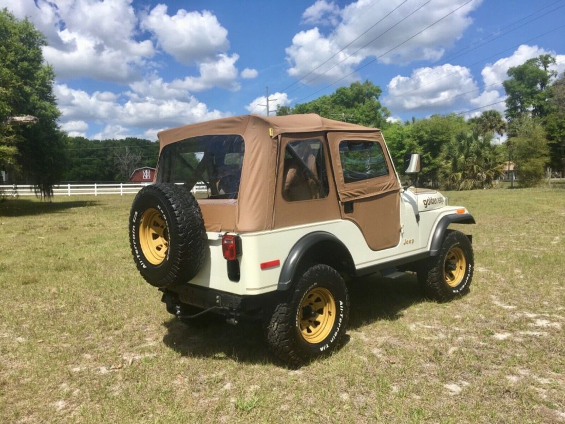 1979 Jeep CJ Golden Eagle - photo 8