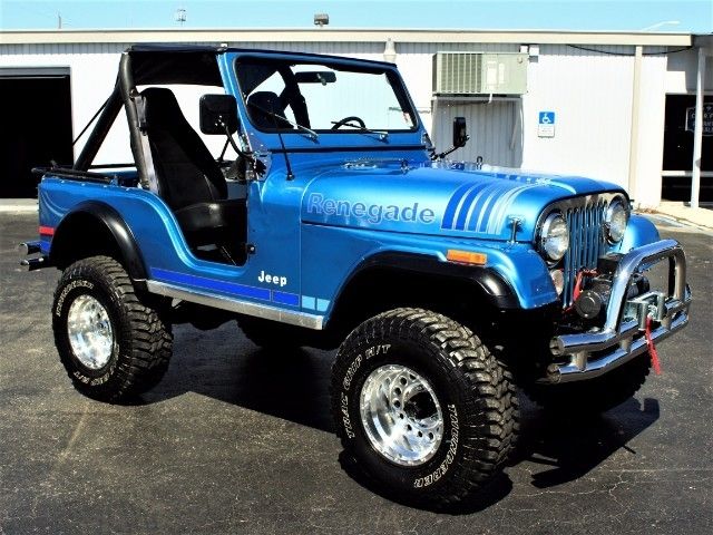 1979 Jeep CJ Renegade - photo 7