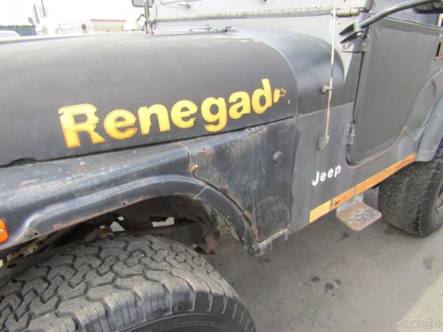 1979 Jeep Renegade - photo 12