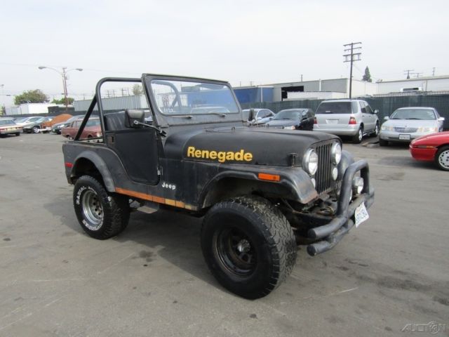 1979 Jeep Renegade - photo 7