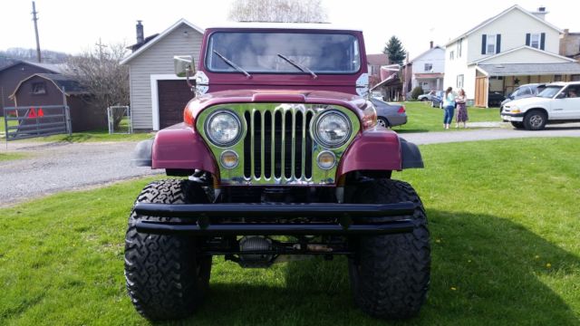 1979 Jeep CJ Custom Built - photo 6
