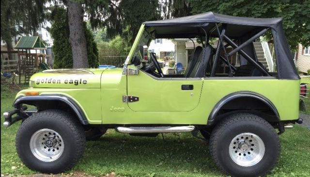 1979 Jeep CJ Golden Eagle - photo 3