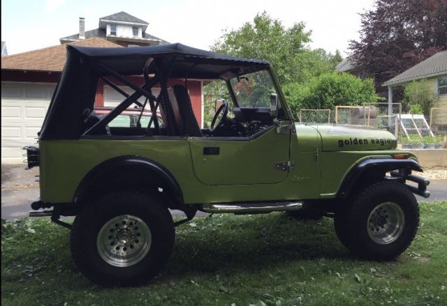1979 Jeep CJ Golden Eagle - photo 4