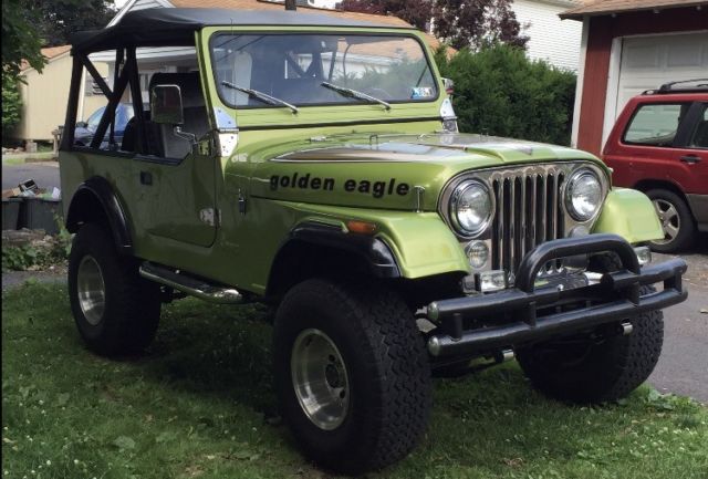 1979 Jeep CJ Golden Eagle - photo 5