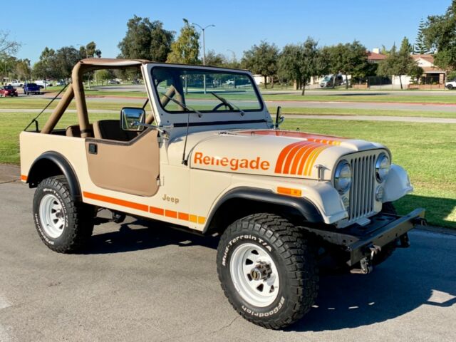 1979 Jeep Renegade - photo 6