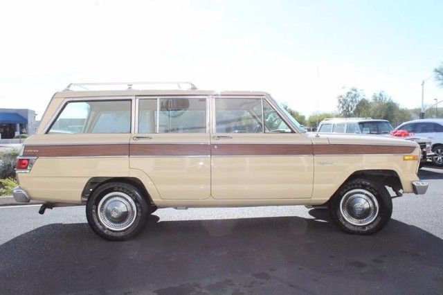 1979 Jeep Wagoneer Brougham 4X4 - photo 9