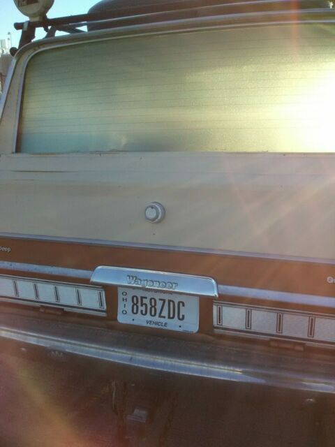 1979 Jeep Wagoneer - photo 3
