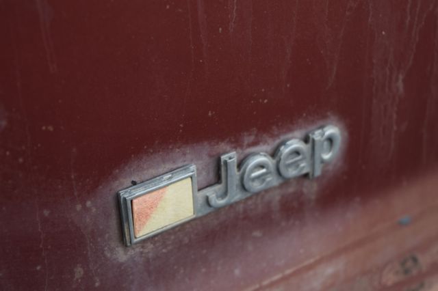 1979 Jeep Wagoneer - photo 13