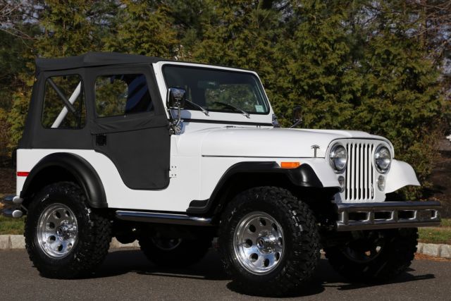 1979 Jeep CJ CJ5
