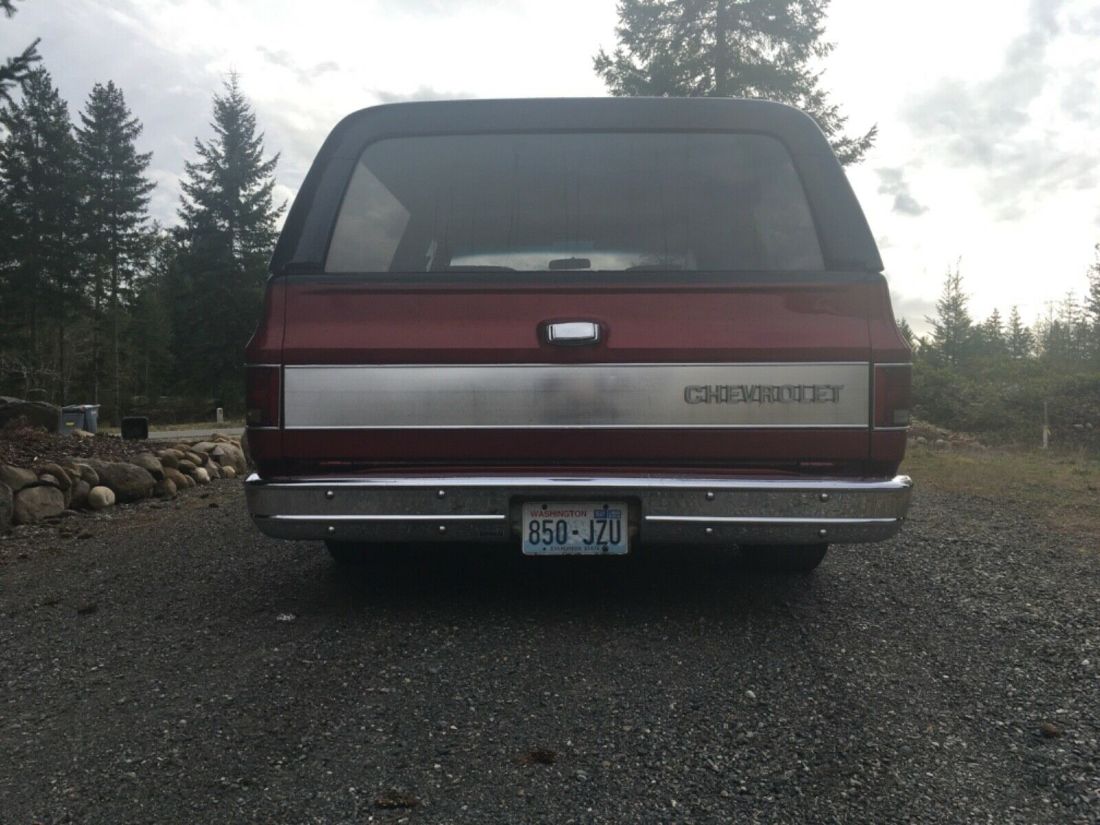 1979 Chevrolet C-10 Cheyenne - photo 5