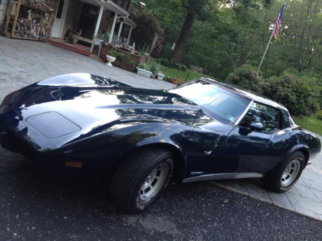 1979 Chevrolet Corvette L82 - photo 3