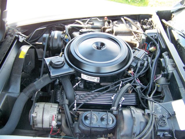 1979 Chevrolet Corvette L82 - photo 4