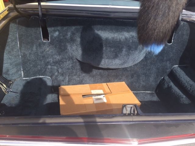1979 Lincoln Town Car Collectors Edition - photo 8