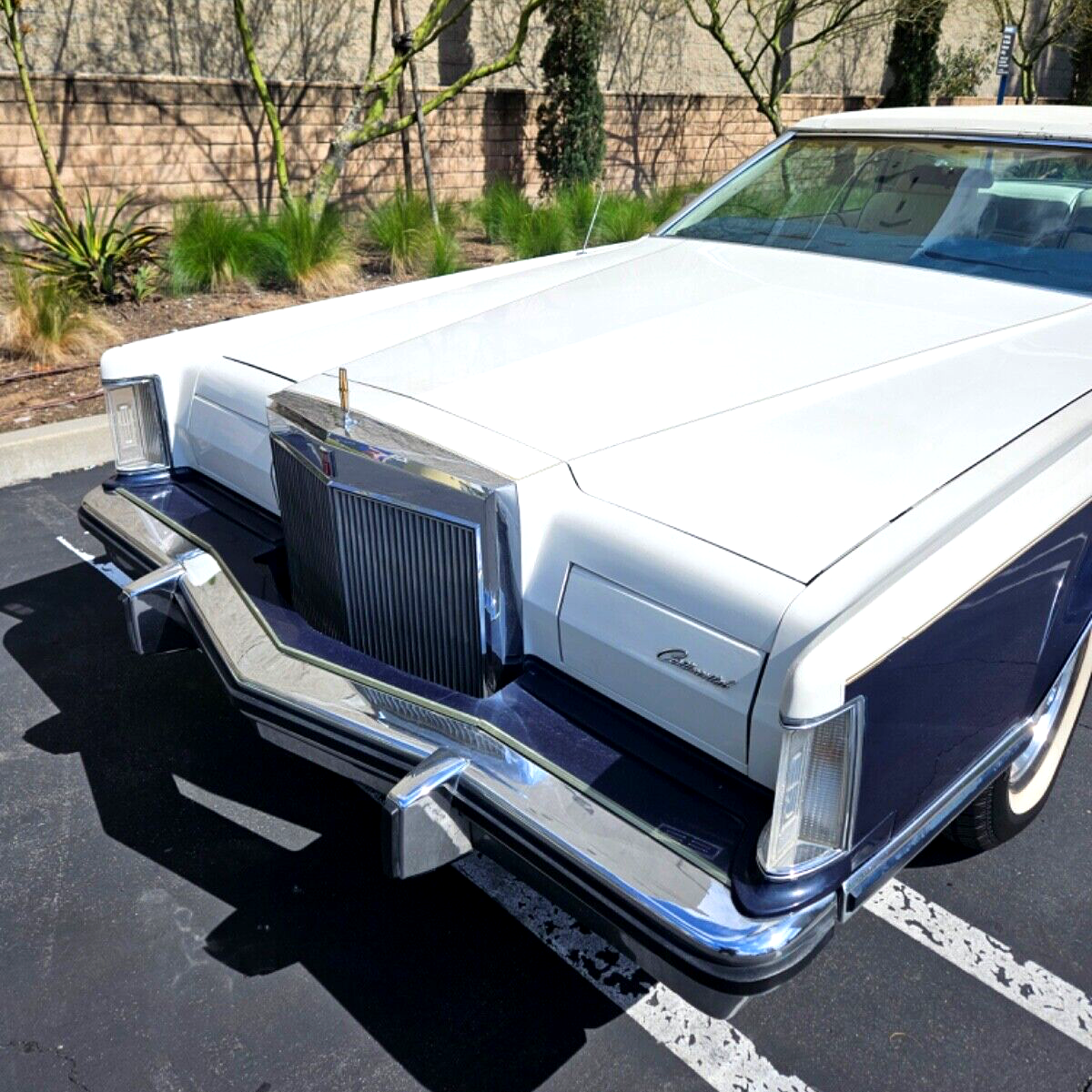 1979 Lincoln Continental Mark V Bill Blass Edition - photo 5