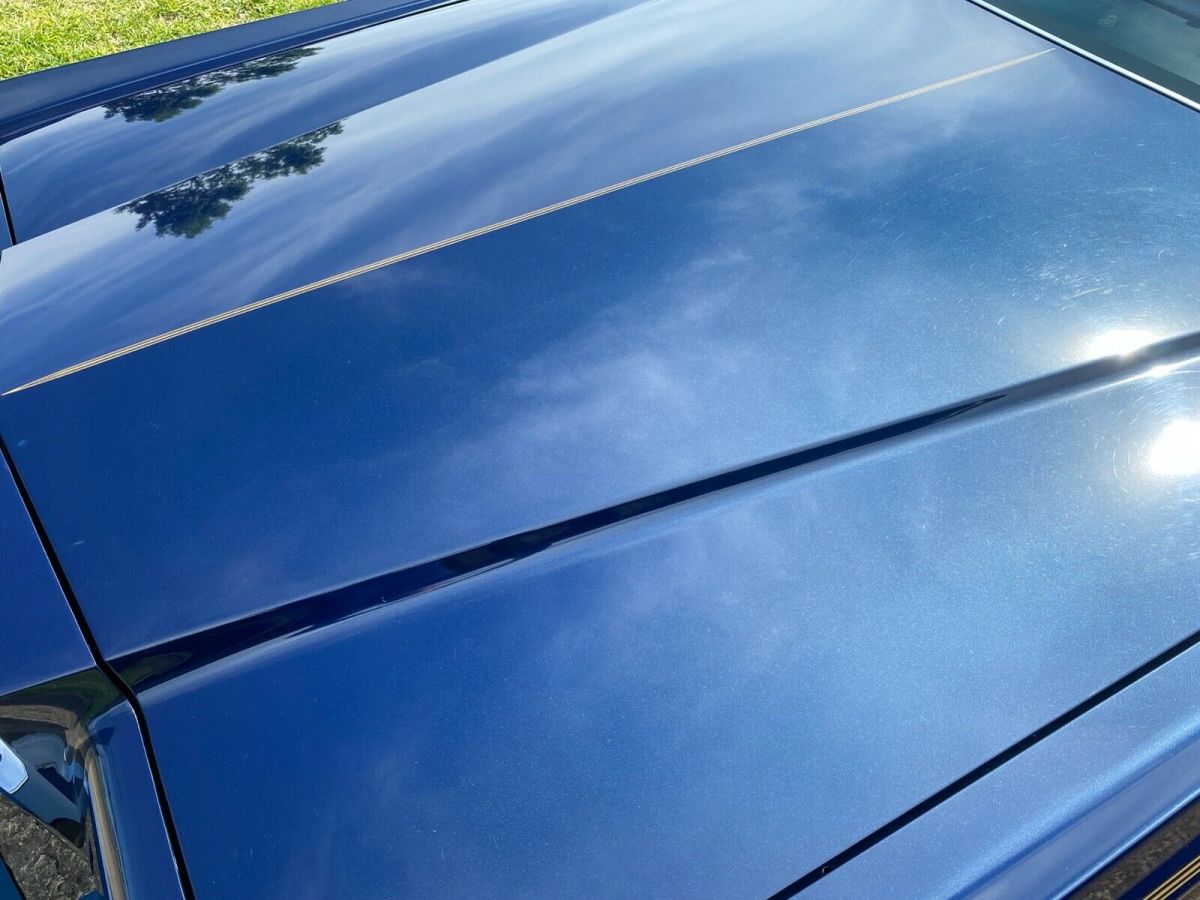 1979 Lincoln Continental Collector's Series Edition - photo 8