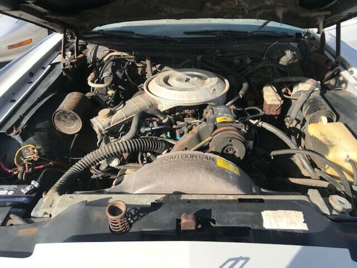 1979 Lincoln Continental Town Car HD VIDEO survivor rides drives - photo 9