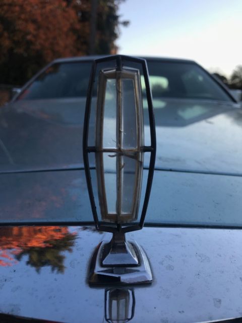 1979 Lincoln Mark Series Collectors Series - photo 4