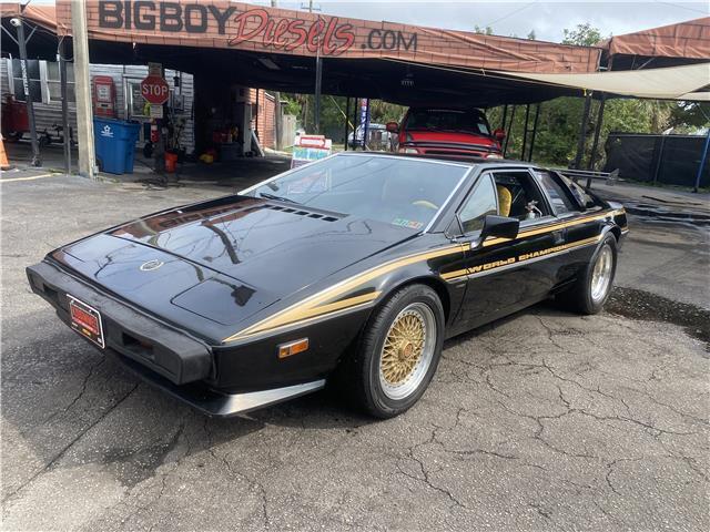 1979 LOTUS ESPRIT JPS EDITION - photo 13