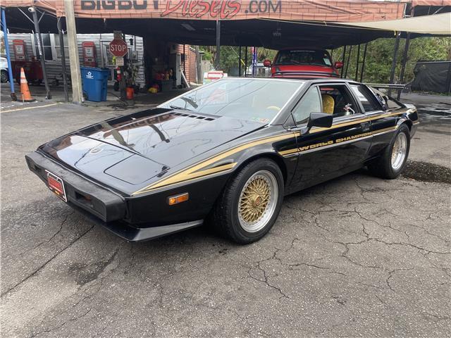 1979 LOTUS ESPRIT JPS EDITION - photo 4