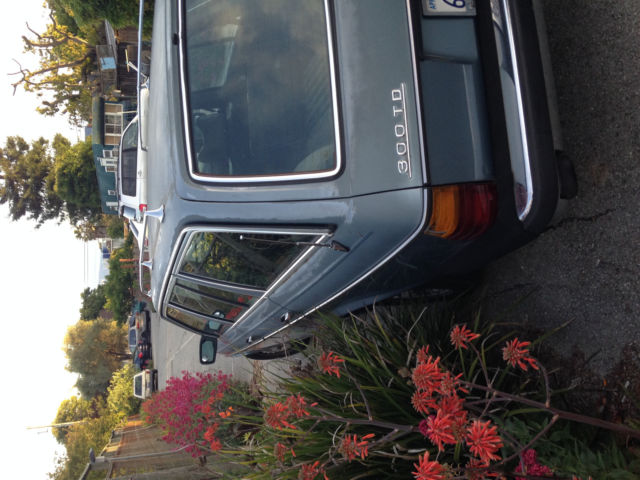 1979 Mercedes-Benz 300-Series Chrome - photo 5