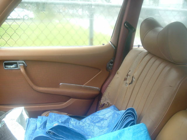1979 Mercedes-Benz 400-Series chrome - photo 6