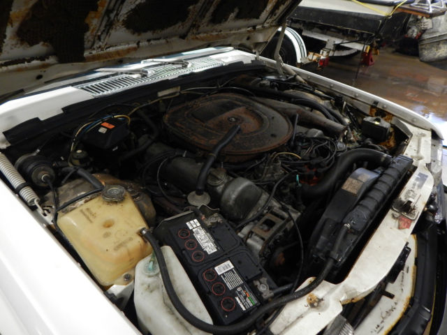 1979 Mercedes-Benz 400-Series - photo 11