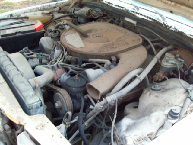 1979 Mercedes-Benz 400-Series - photo 4