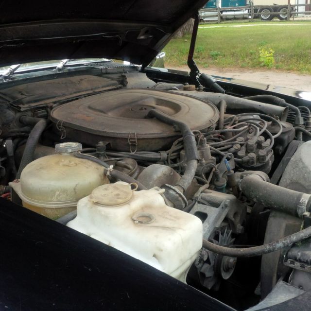 1979 Mercedes-Benz SL-Class 450 - photo 4